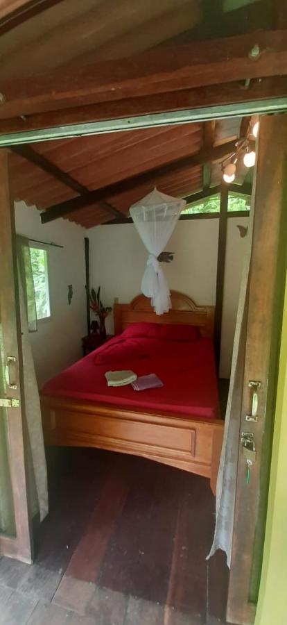 Casita Rio Indio Villa Nombre de Dios Eksteriør billede
