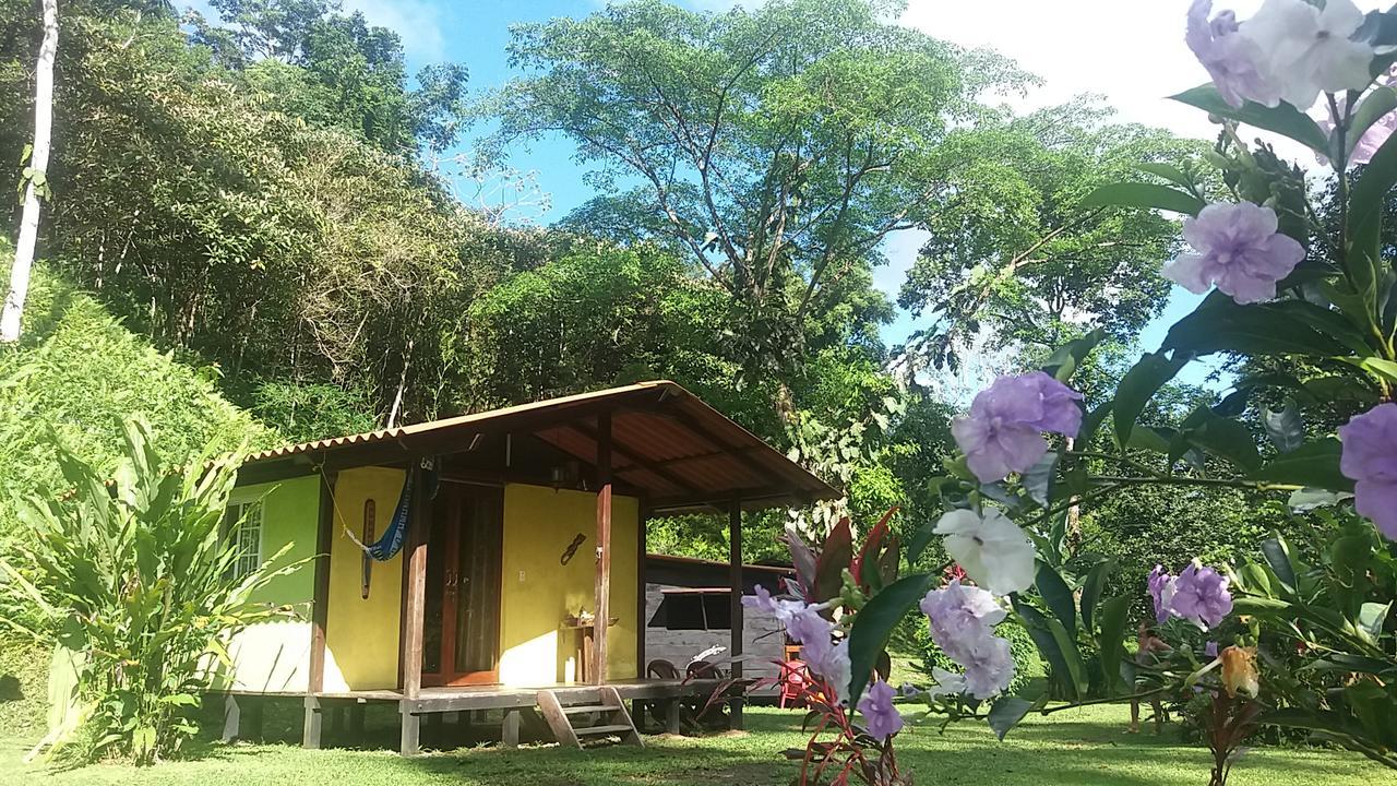 Casita Rio Indio Villa Nombre de Dios Eksteriør billede